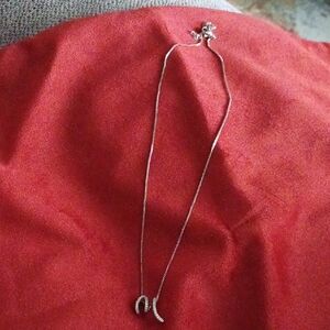 Elegant Silvertone With M charm Necklace